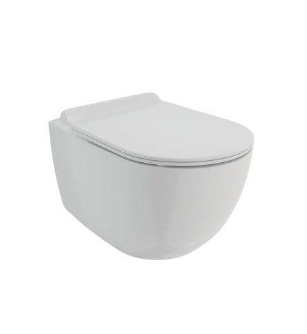 Rimless Wall Hung WC