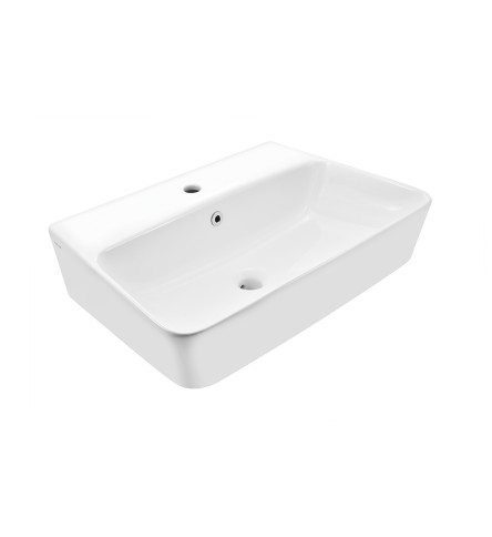 Wall Hung Basin